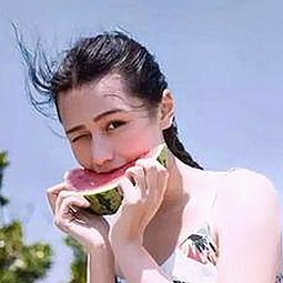 关于免费视频官方版下载的最新趋势与现状分析