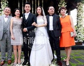 深入分析：17·c1起草登录入口破解版的现状与影响