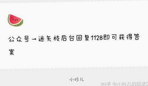 最新91网站官方版下载免费版带来全新体验