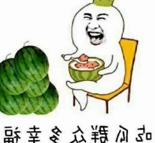 全面解析91网站官方版下载免费版及其相关资源