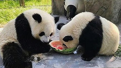 如何安全获取已满十八岁电视剧完整版官方版下载资源