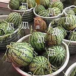 已满十八免费观看电视剧免费版官方版让你轻松追剧无忧