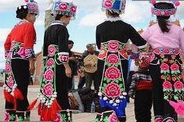 全面解析：www91官方版正版下载的最新动态与安全保障