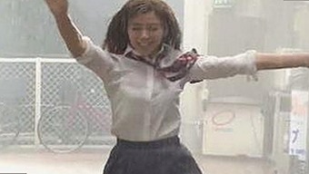 探索“ww我的快乐在哪里与免费版”的最新动态与用户体验