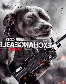 最新动态：91香蕉官方版助你畅享优质内容