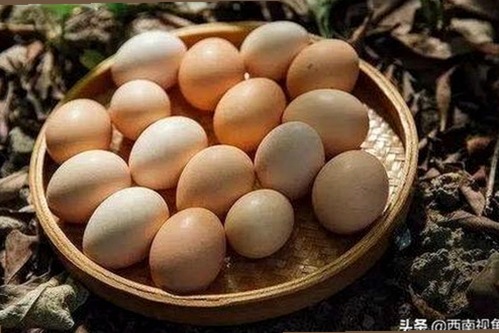 探秘：91🍆🍑🔞❌❌❌一起草背后的热议与真相