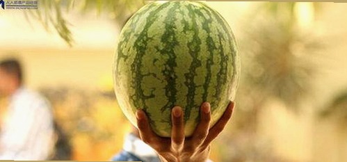 深入分析：小🐔🐔伸进🈲🔞🔞A官方版的当前状况与相关讨论