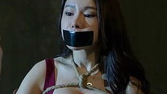 成人网免费版：最新资源与安全下载指南