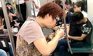 嫩草17.c 91官方版：最新动态与资源推荐解析