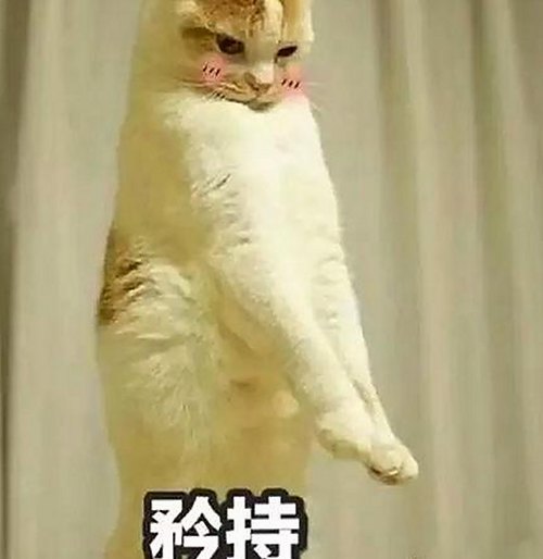 探索高清🈚码🔞❌♋免费17c：内容安全与合法性分析