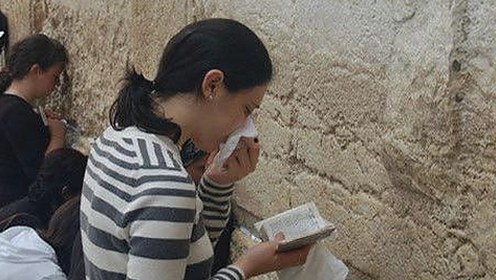 红桃视频免费版官方版：最新资源介绍与下载指南