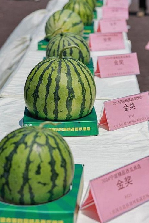 揭秘“ww我的快乐在哪里免费版”的现状与争议