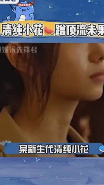 全面解析91n与免费版：满足多样需求的选择