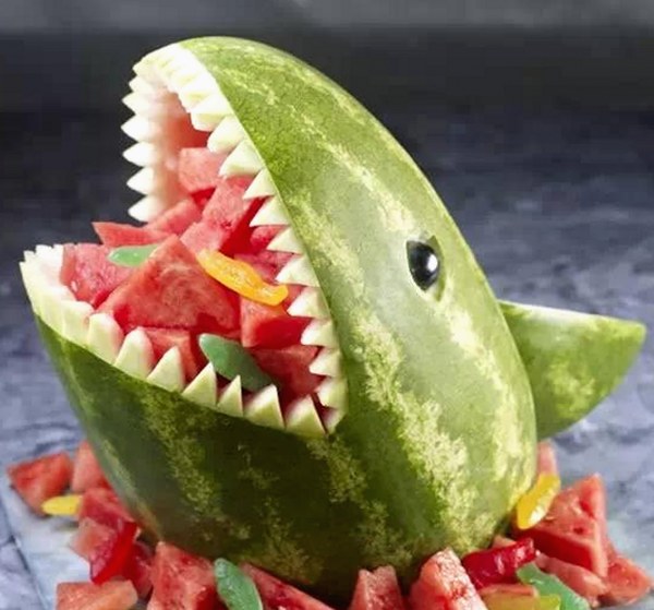 全面解析91n与免费版：满足多样需求的选择