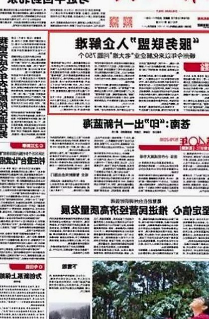 全面了解菠萝TV免费版：高清不卡、正版下载指南