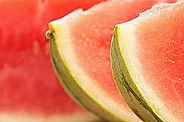 最新版本揭秘：鲁啊鲁最新版下载引领娱乐新趋势