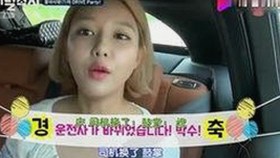 探索擼擼社免费看黄 视频官方版的现状与趋势
