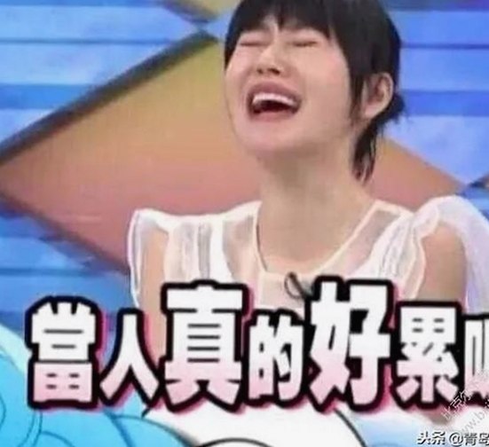 德州市用户关注：黄色软件下载官方版下载免费版的最新动态与资源分享