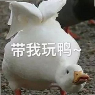 红桃视频免费版：最新资源与下载指南详解