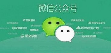 如何安全获取免费黄色官方版下载：最新资源指南