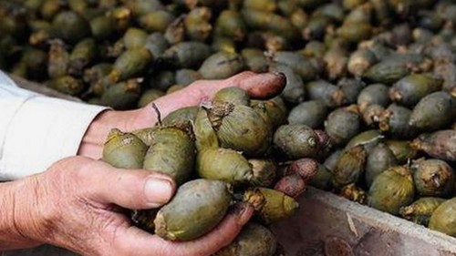 探索禁漫天堂下载最新版下载背后的新动向与娱乐圈息息相关