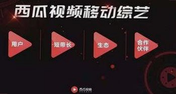 明星动态聚焦：免费91官方版助力更安全的内容体验