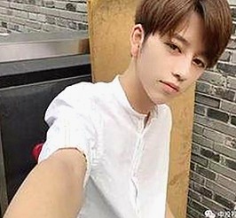 麻豆视频在线观看官方版免费版：畅享优质内容的最新选择