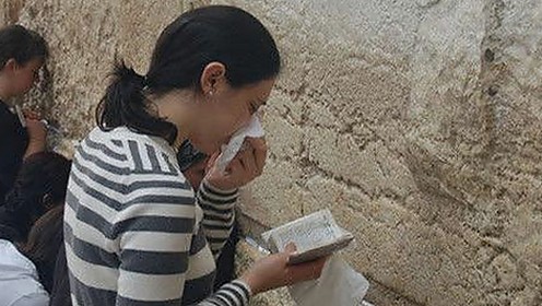 鲁鲁影院电视剧免费观看最新章节官方版免费版：畅享优质内容的绝佳选择