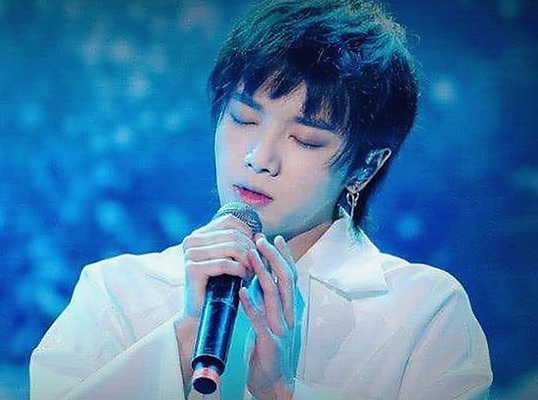 成人网免费版：满足你的多样化线上娱乐需求