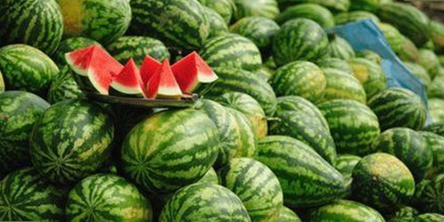 双鸭山市用户热议：91破解版官方版带来的新变化