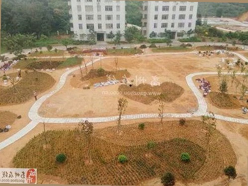 揭秘刘宇宁娱乐背后：啪啪视频免费版带来的新体验