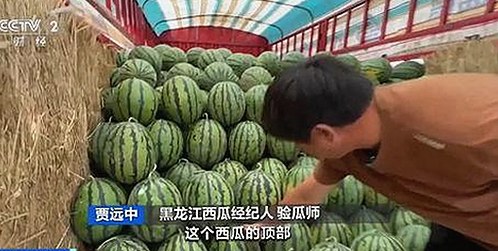 探索十大黄色软件官方版的现状与发展