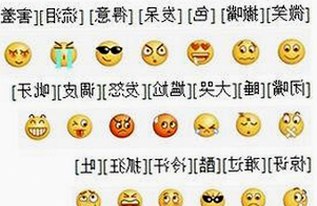 深入了解高清乱码🔞❌♋免费17c的最新发展与应用
