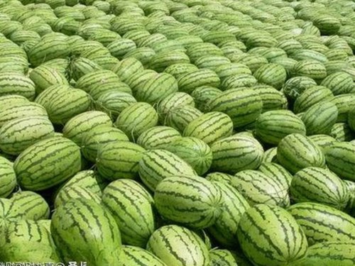 最新总结：91绂侌煃嗮煃战煍炩潓鉂屸潓官方版免费版现已全面上线