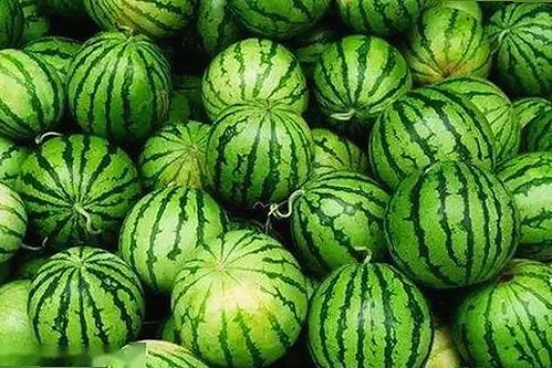 红桃影院免费观看电视剧电视剧高清最新版下载：追剧体验新变化