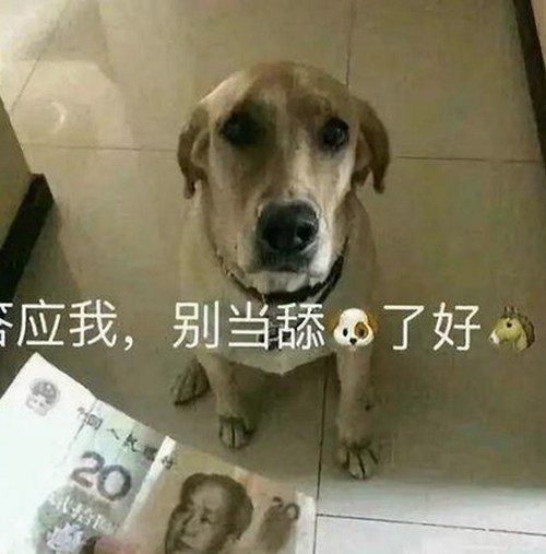 揭秘小🐔🐔伸进🈲18网站官方版正版下载的最新动向：从娱乐圈到下载工具的反差