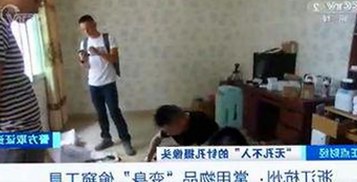 探索禁漫天堂下载官方版下载：满足你的多样需求