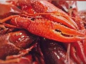 18馃埐免费版下载：多款热门资源推荐与安全指南