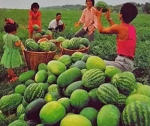 国产麻豆视频最新版下载现已全面升级，满足多样观影需求