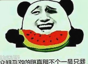 成人抖音官方版带你探索全新娱乐体验