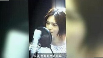 探索红桃视频官方版下载：畅享优质影视体验