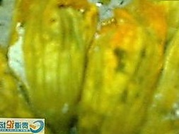 红桃视频免费版：探索最新影视资源与下载渠道