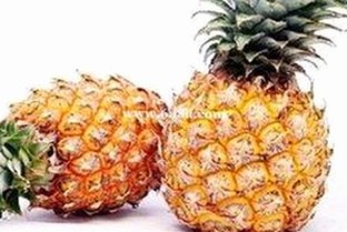深入解析：小🐔🐔伸进🈲🔞🔞官方版的现状与影响