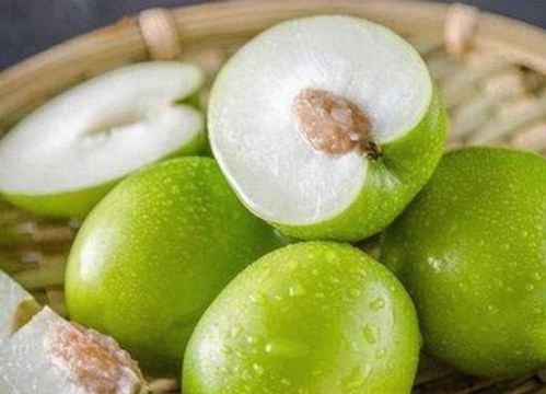 揭秘鲁啊鲁免费版：最新版本与资源下载全解析