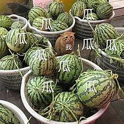 已满十八在线观看高清电视剧推荐免费版：探索成人内容的多样选择与变化