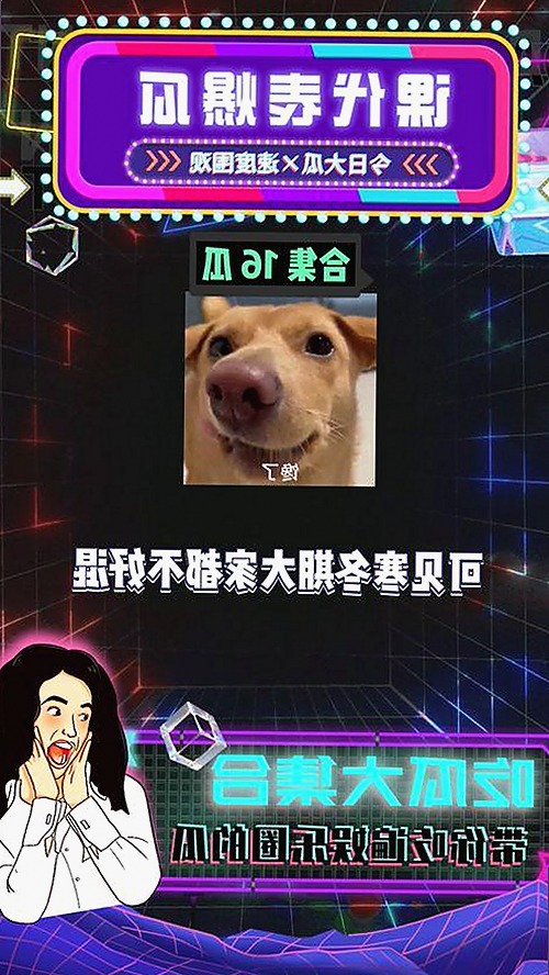 刘宇宁操作指南：如何快速获取91网站安装包下载