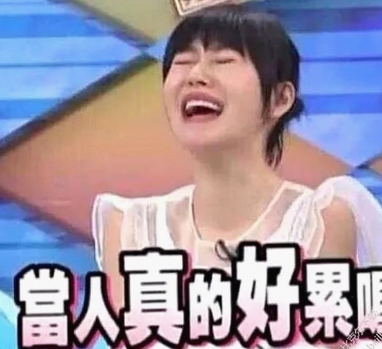 91免费版最新版下载带来最新影视体验，满足多样观影需求