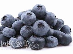 91免费版安装包下载：享受无忧体验的最佳选择
