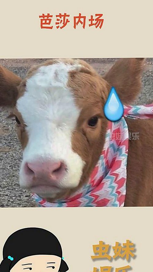 已满十八岁在线看电视剧最新版下载：畅享成人内容新体验