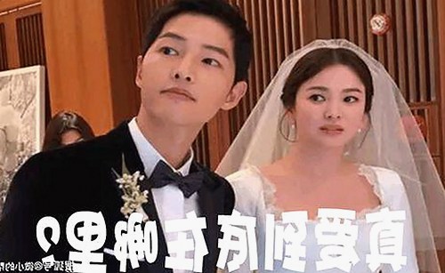高清乱码免91官方版：畅享优质内容的全新体验